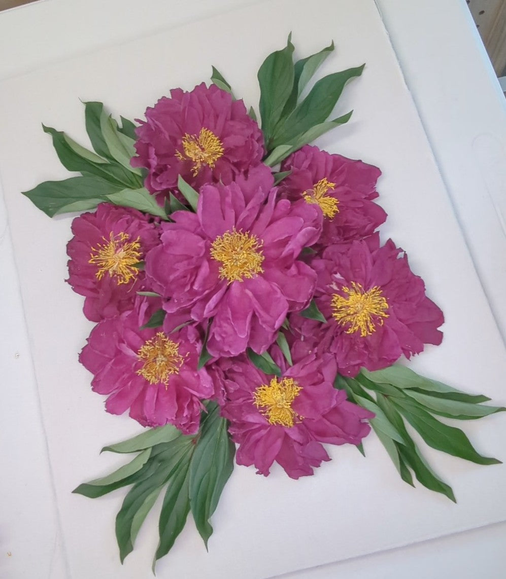 Bouquet of pink flowers with green leaves on a white background
