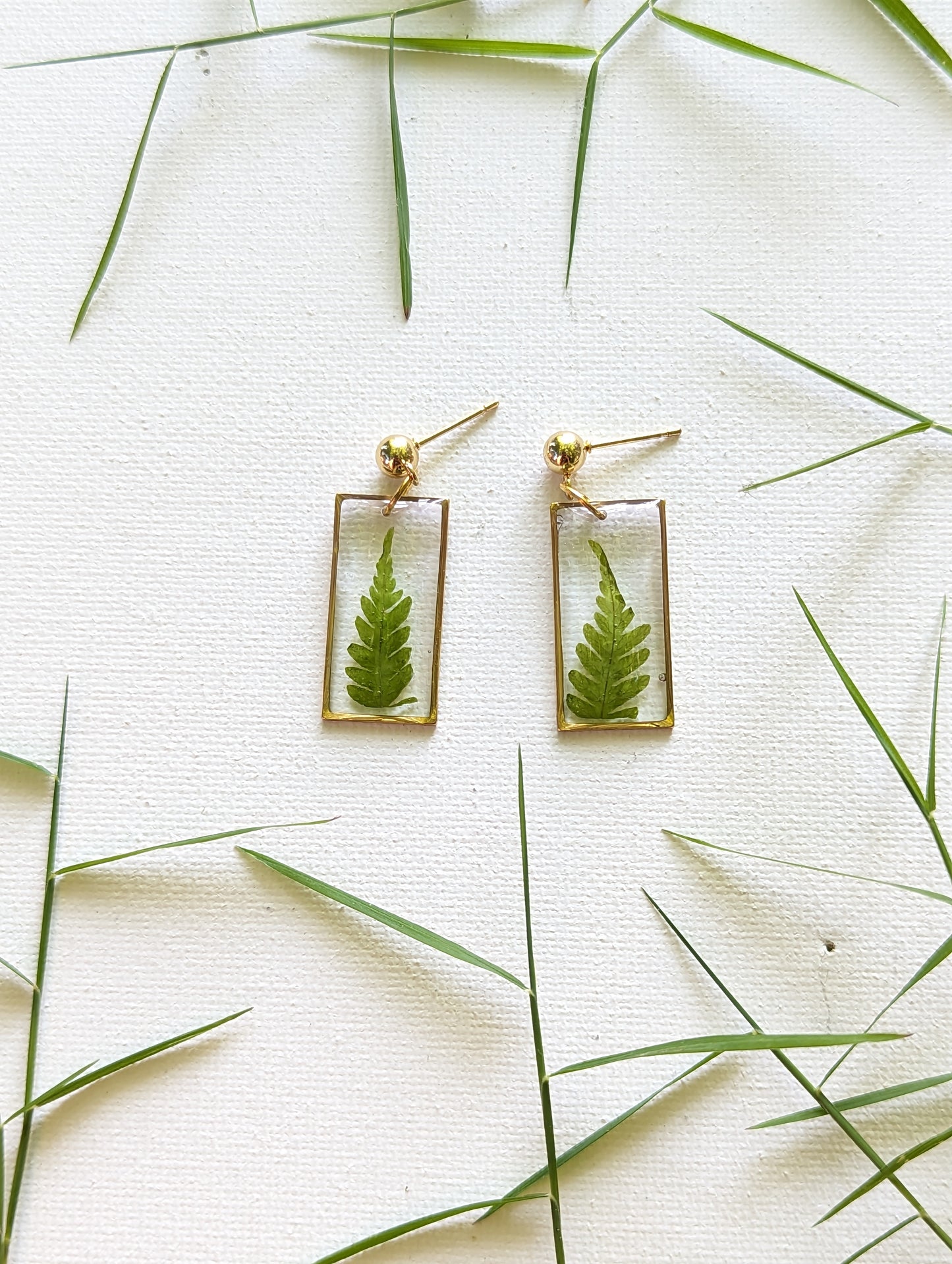 Green Ferns