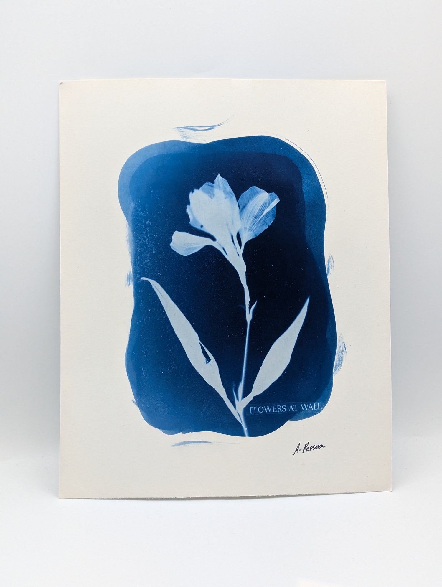 cyanotype artwork