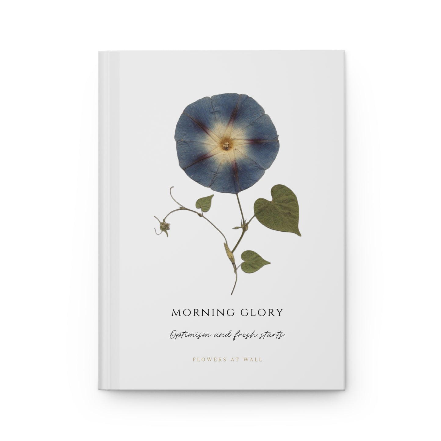 SEPTEMBER | Morning Glory Birth Flower Journal — Hardcover Botanical Notebook