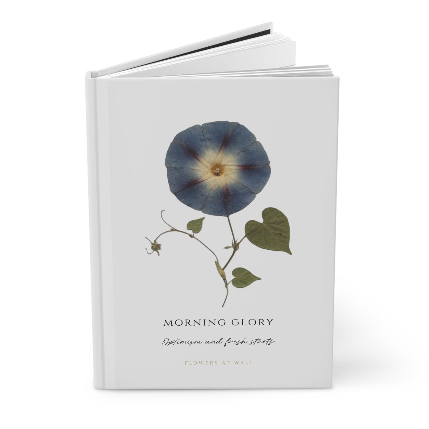 SEPTEMBER | Morning Glory Birth Flower Journal — Hardcover Botanical Notebook
