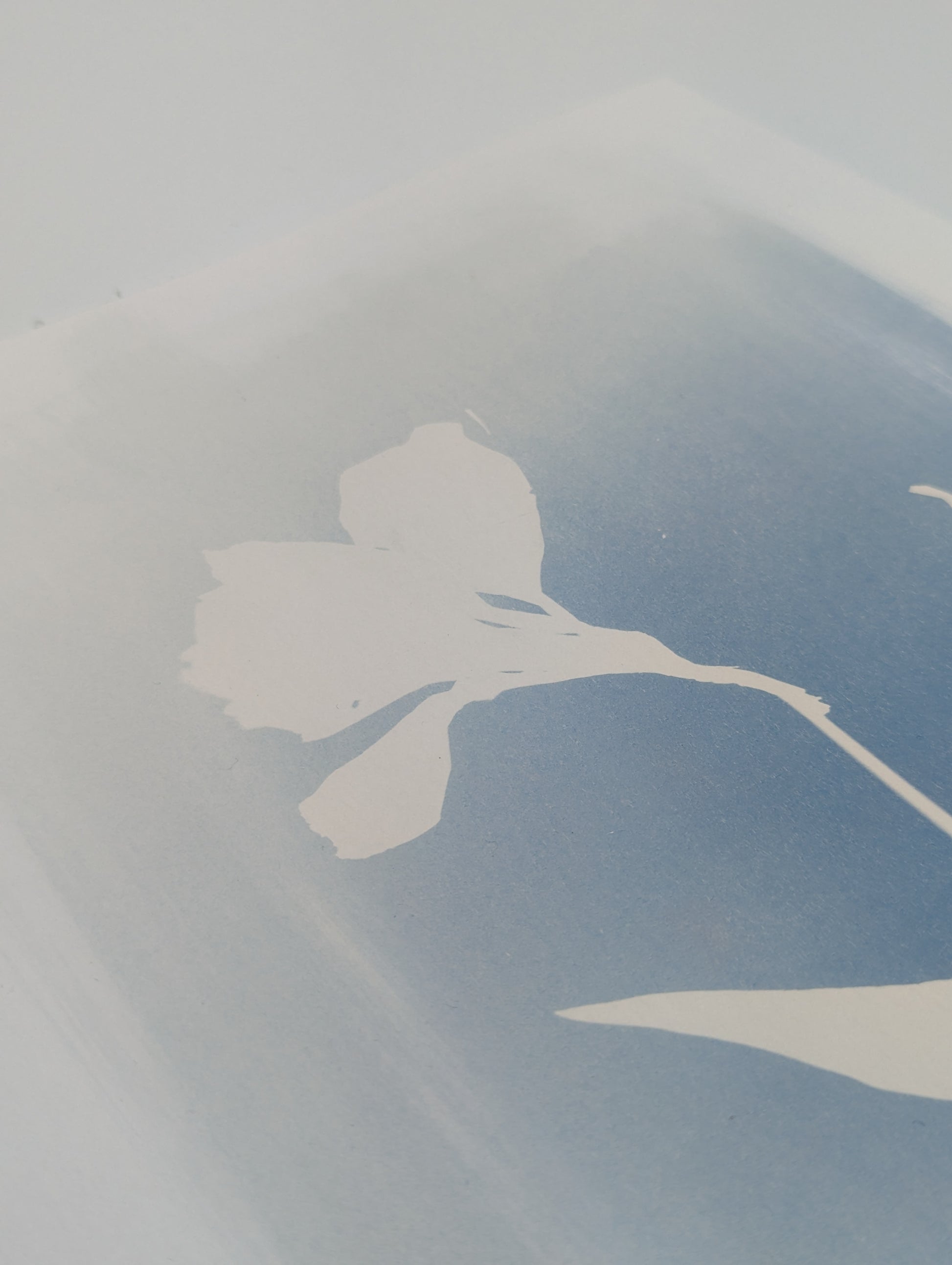 Silhouette of a flower on a light blue background