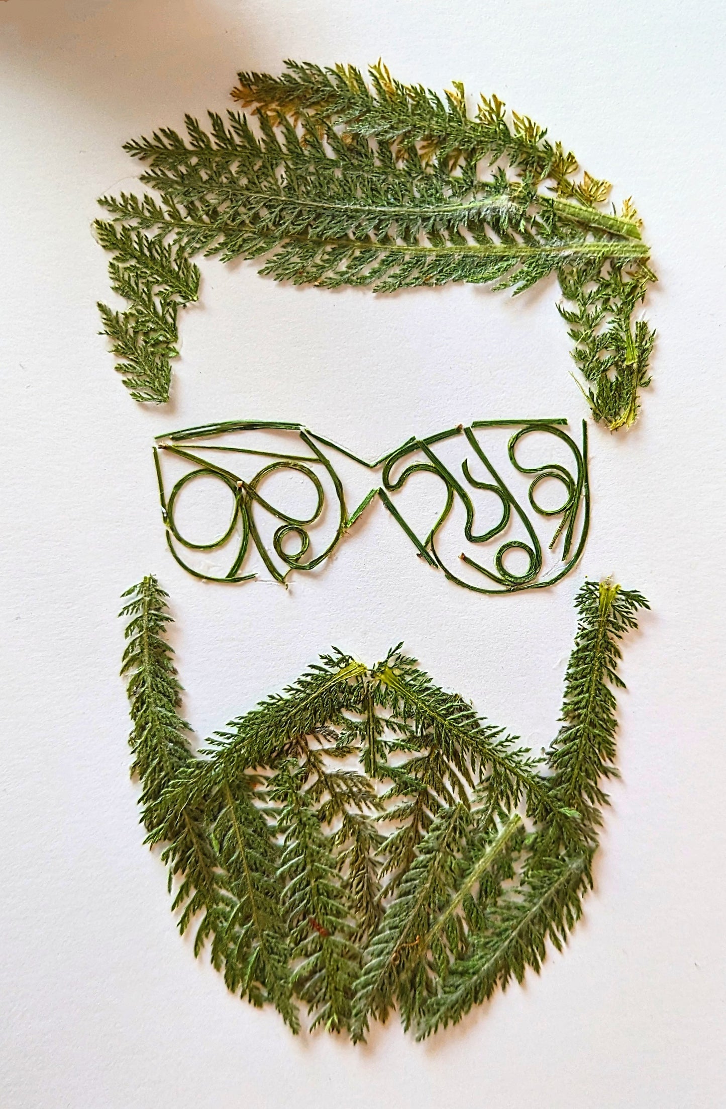 Botanical portrait