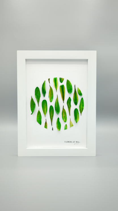 Green Earth