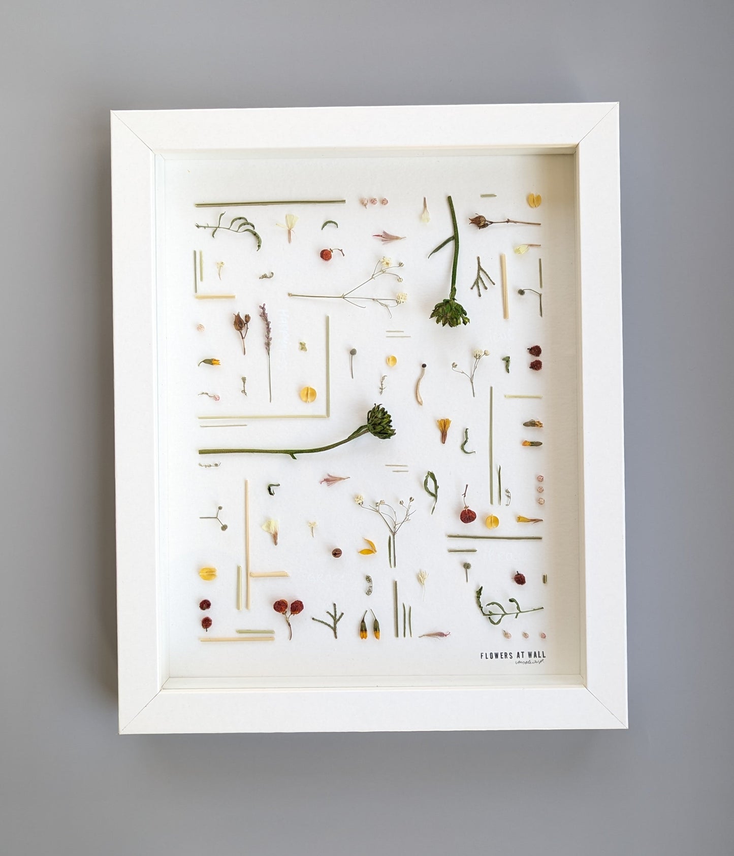 Framed botanical illustration on a gray wall