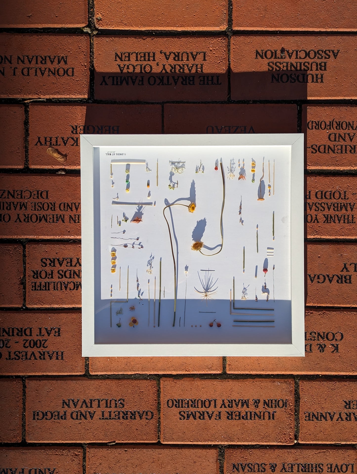 Art of Notice