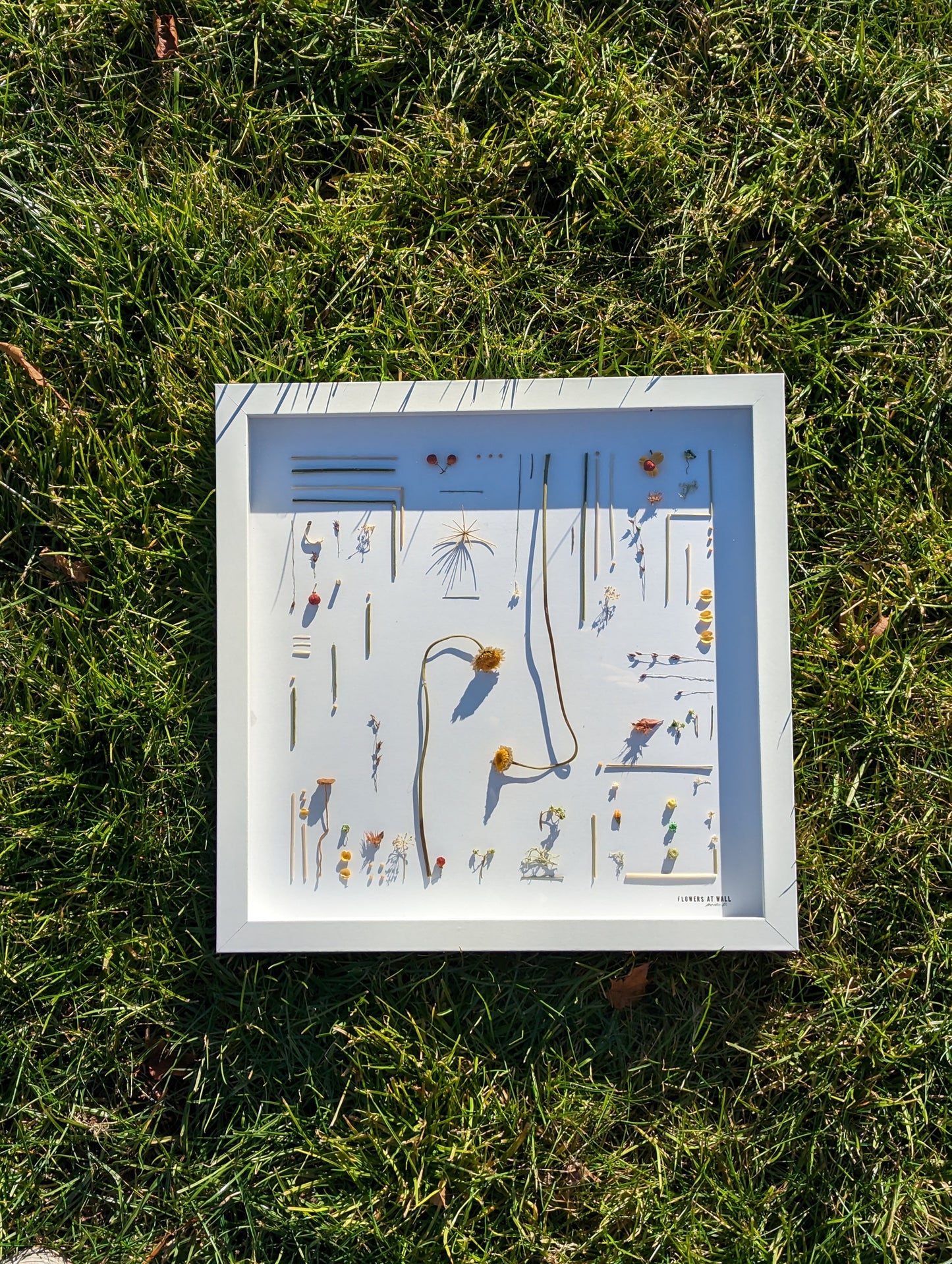Art of Notice
