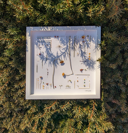 Framed artwork with natural elements on a background of green foliage