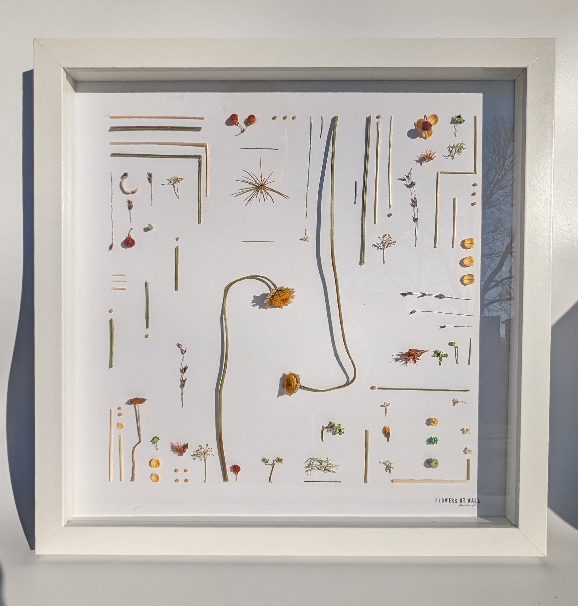 Framed artwork with pressed flowers and plant elements on a white background