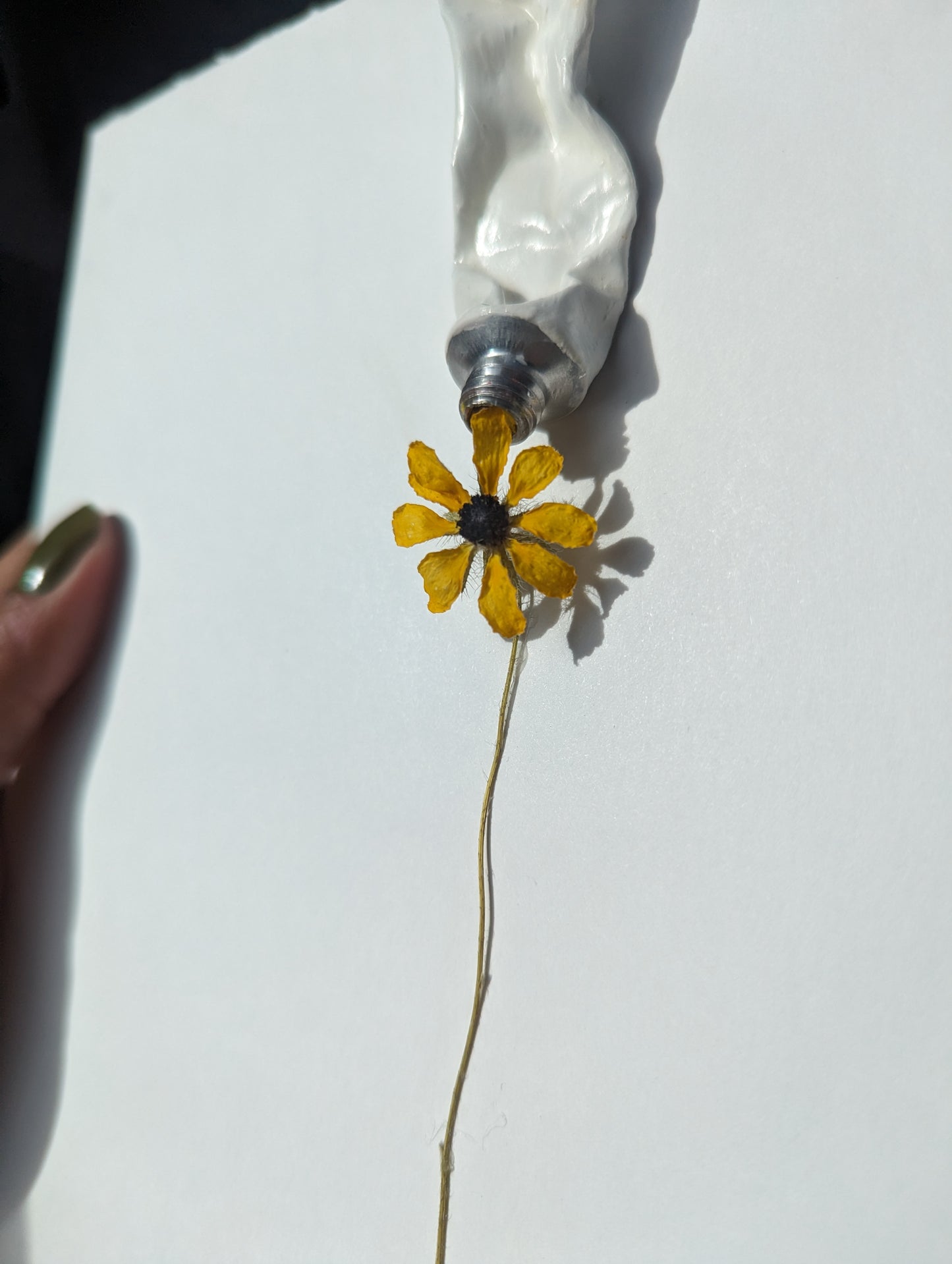 Squeeze - Paint Tube Flower