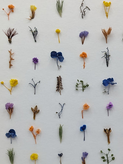 Collection of small dried flowers on a white card with 'Flowers by Mail' branding.