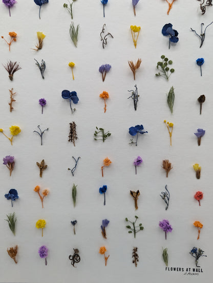 The Unnoticed — Original Botanical Artwork