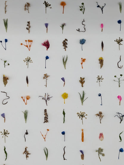 The Unnoticed — Original Botanical Artwork