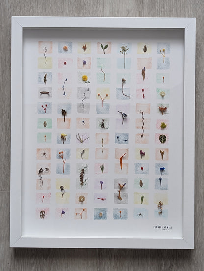 Fragments