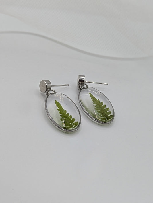 Oval Fern Earrings — Real Pressed Fern Leaf Jewelry