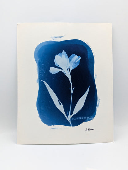 ORGANIC ALSTROEMERIA — Original Cyanotype Sun Print