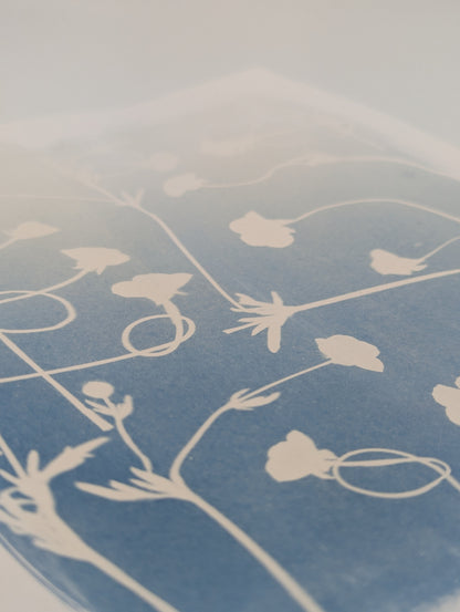 BUTTERCUP — Original Cyanotype Sun Print
