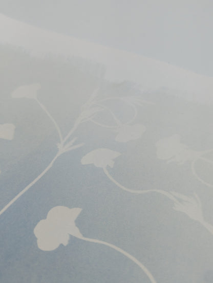 BUTTERCUP — Original Cyanotype Sun Print