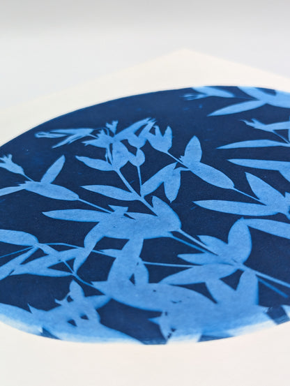 EUCALYPTUS — Original Cyanotype Sun Print