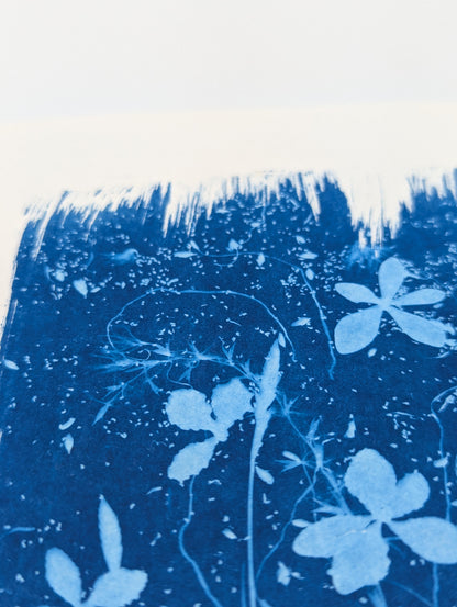 SOFT HYDRANGEAS — Original Cyanotype Sun Print
