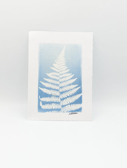 Washed Fern