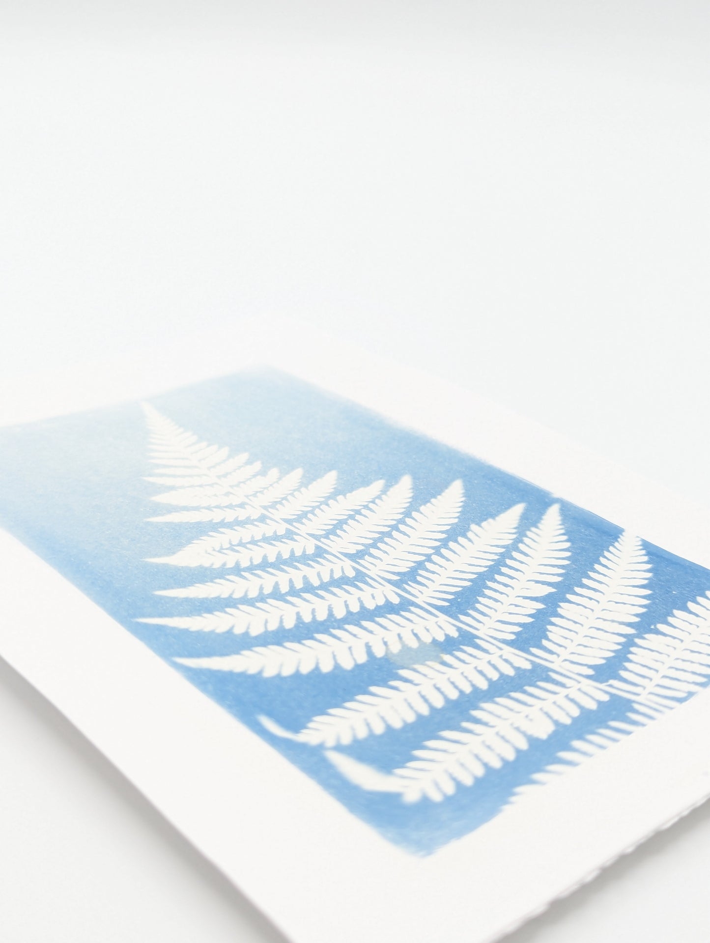 Washed Fern