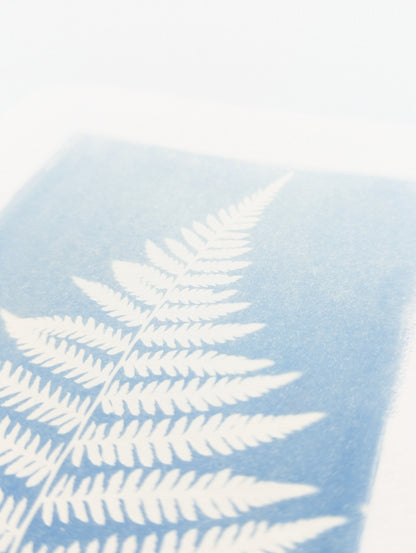 Washed Fern