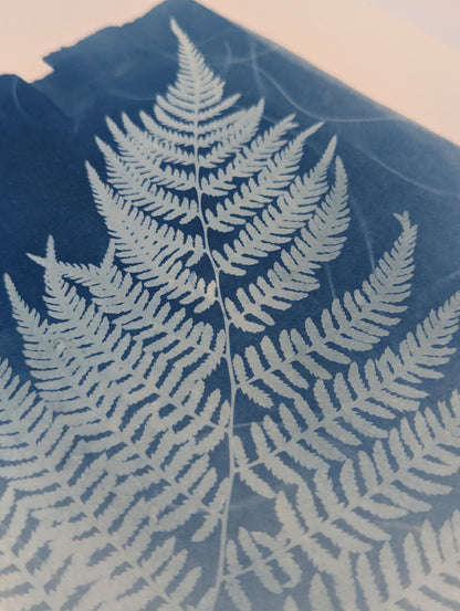Fern leaf print on a blue background