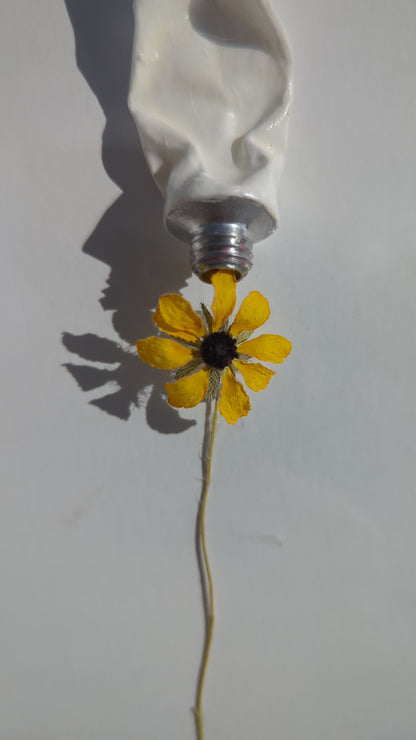 Squeeze - Paint Tube Flower