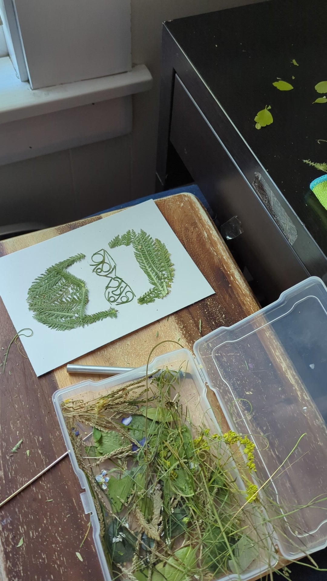 video of making art with real plants