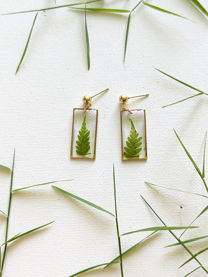 Green Ferns