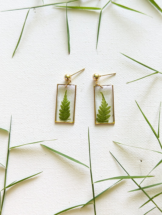 Green Ferns