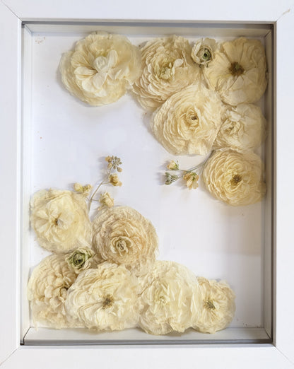 Framed arrangement of pressed flowers on a white background